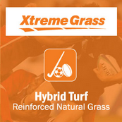 hybrid-turf